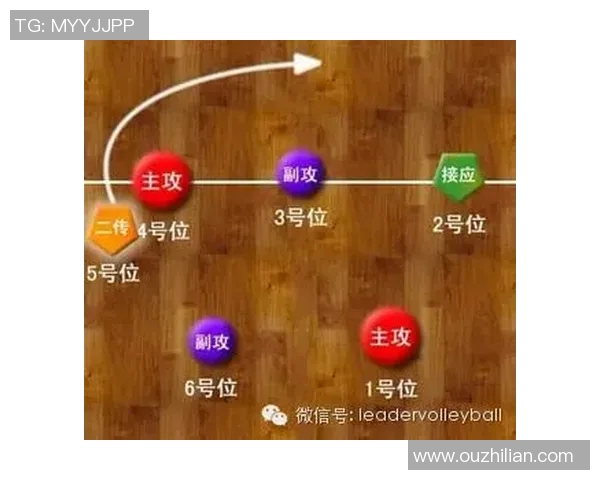南京排球队快攻战术深度解析与实践应用探讨